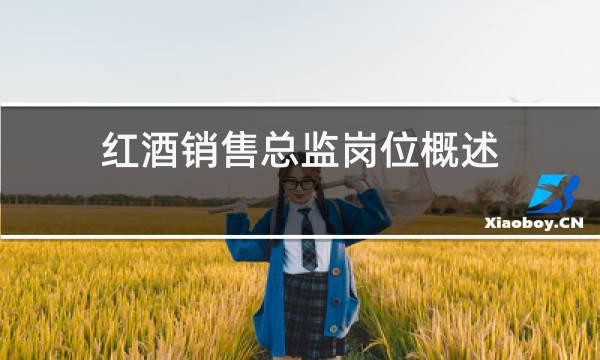 红酒销售总监岗位概述