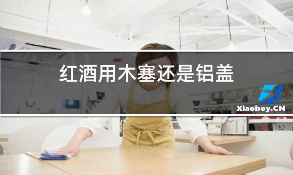 红酒用木塞还是铝盖