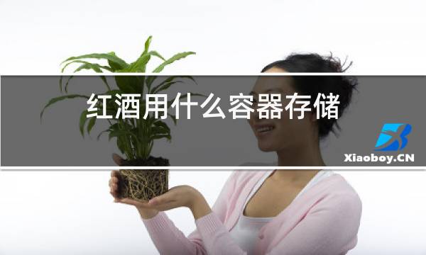 红酒用什么容器存储