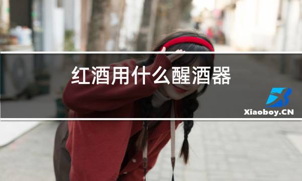 红酒用什么醒酒器图片