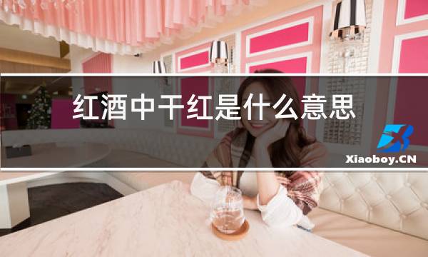 红酒中干红是什么意思