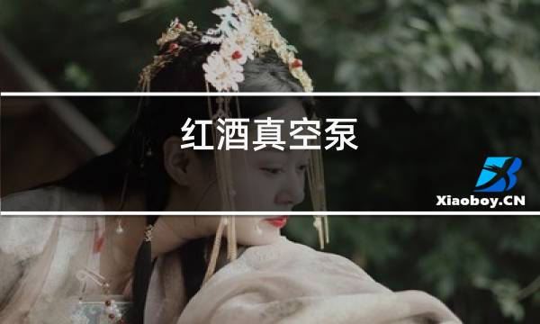 红酒真空泵