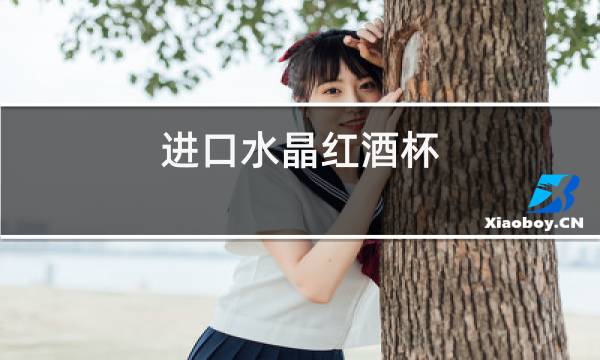 进口水晶红酒杯