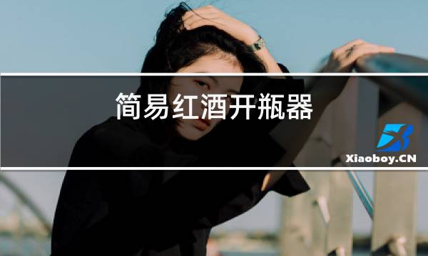简易红酒开瓶器