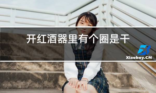 开红酒器里有个圈是干