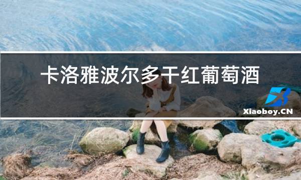 卡洛雅波尔多干红葡萄酒2015