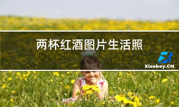 两杯红酒图片生活照