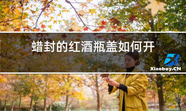蜡封的红酒瓶盖如何开图片