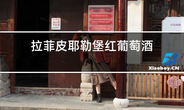 拉菲皮耶勒堡红葡萄酒