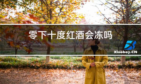零下十度红酒会冻吗图片