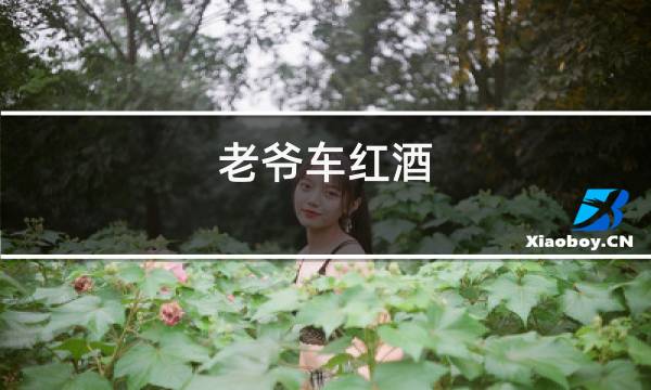 老爷车红酒
