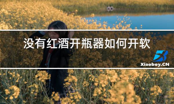 没有红酒开瓶器如何开软木塞