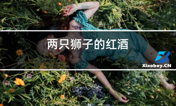 两只狮子的红酒