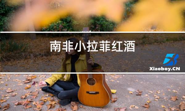 南非小拉菲红酒