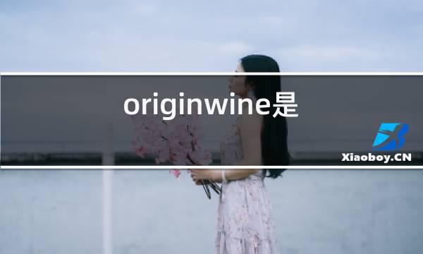 originwine是什么牌子的红酒图片
