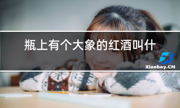 瓶上有个大象的红酒叫什么