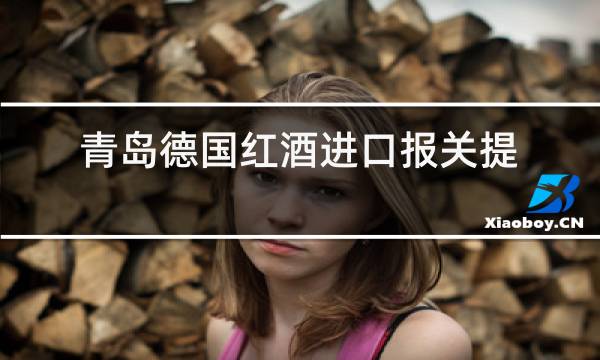 青岛德国红酒进口报关提供资料