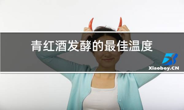 青红酒发酵的最佳温度