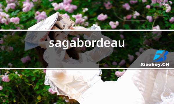 sagabordeaux是什么红酒图片