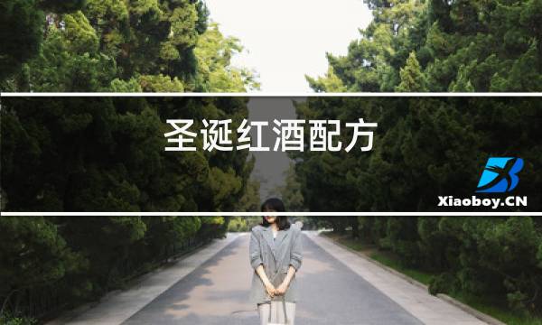 圣诞红酒配方