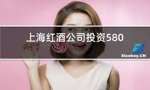 上海红酒公司投资5800图片