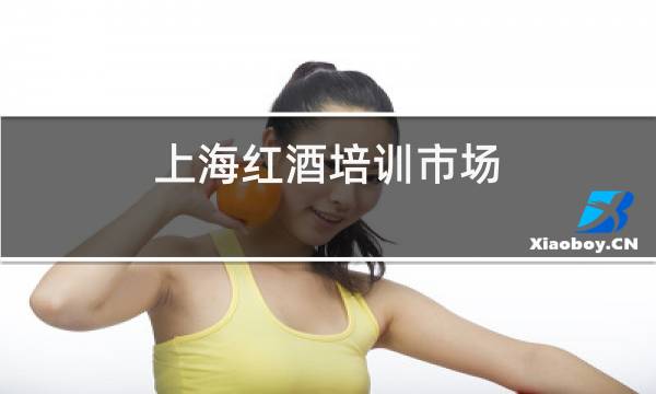 上海红酒培训市场