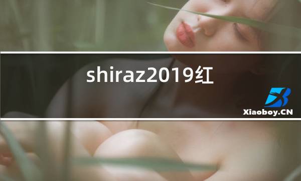 shiraz2019红酒价格图片
