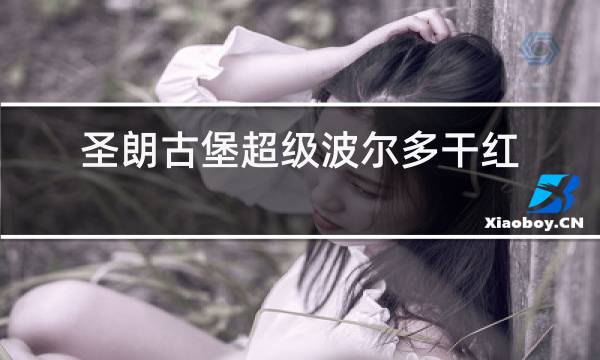 圣朗古堡超级波尔多干红葡萄酒