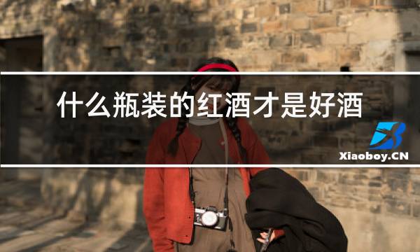什么瓶装的红酒才是好酒图片