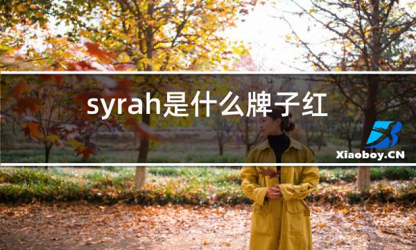 syrah是什么牌子红酒