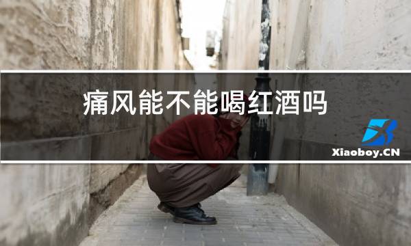 痛风能不能喝红酒吗
