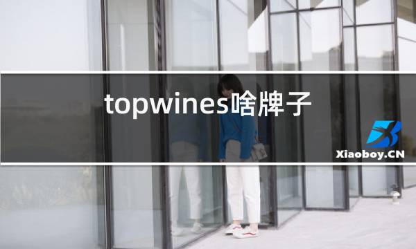topwines啥牌子红酒多少钱图片