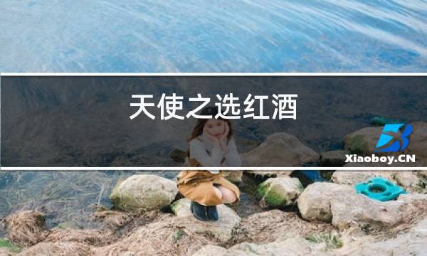 天使之选红酒