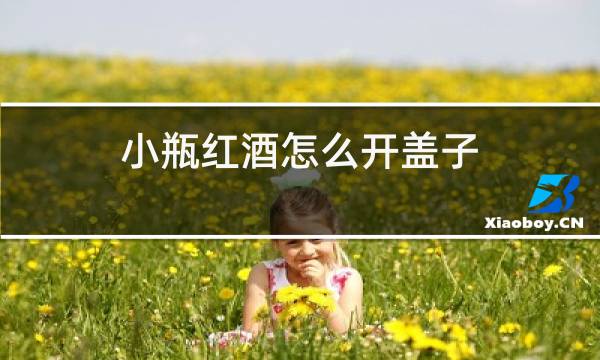 小瓶红酒怎么开盖子