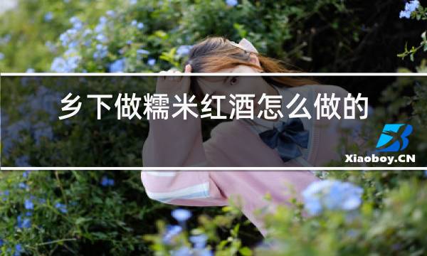 乡下做糯米红酒怎么做的