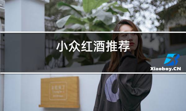 小众红酒推荐图片