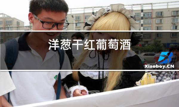 洋葱干红葡萄酒