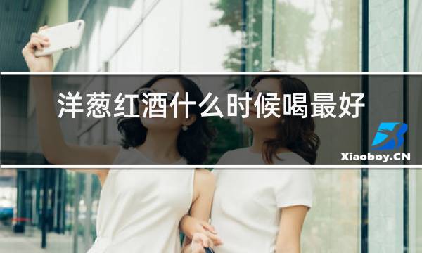 洋葱红酒什么时候喝最好