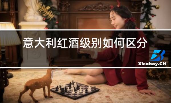 意大利红酒级别如何区分图片
