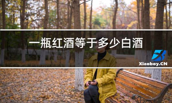 一瓶红酒等于多少白酒图片