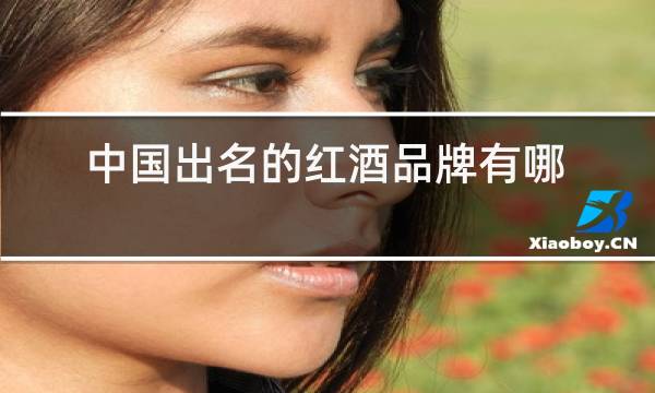 中国出名的红酒品牌有哪些图片