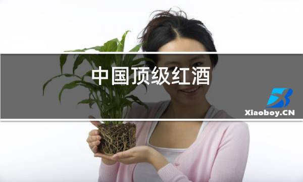 中国顶级红酒