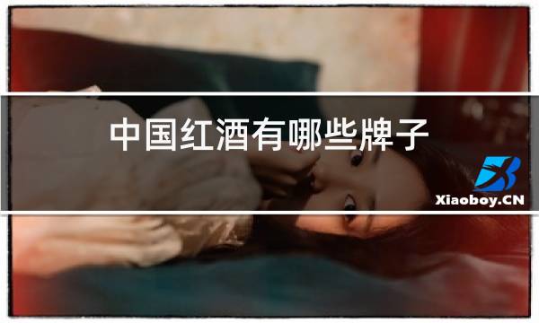 中国红酒有哪些牌子