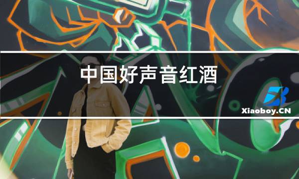 中国好声音红酒