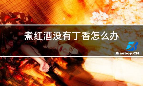 煮红酒没有丁香怎么办