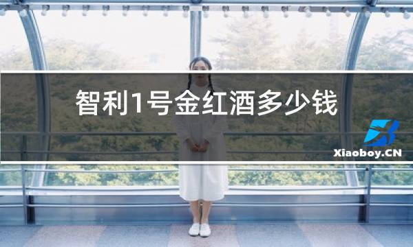 智利1号金红酒多少钱