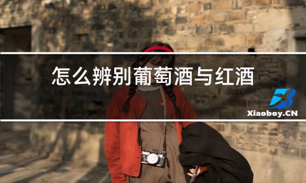 怎么辨别葡萄酒与红酒
