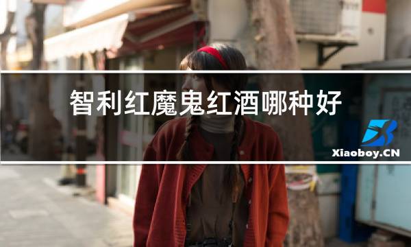 智利红魔鬼红酒哪种好图片