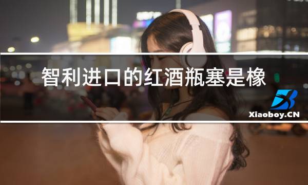 智利进口的红酒瓶塞是橡胶的