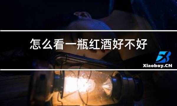 怎么看一瓶红酒好不好